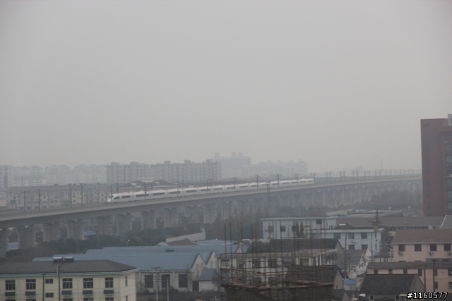威龍中國之旅-杭州、上海、蘇州(第二日)鹽官古鎮、海寧、上海