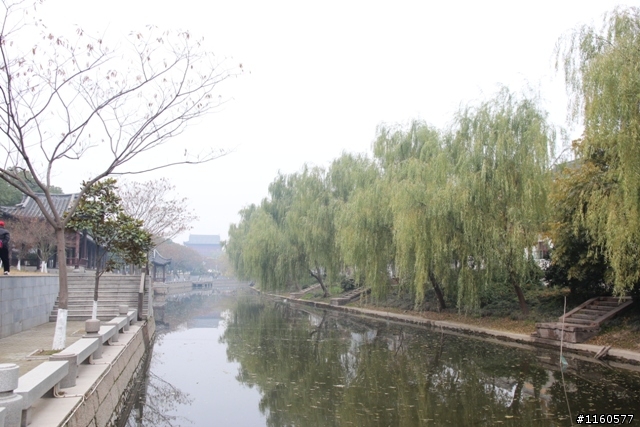 威龍中國之旅-杭州、上海、蘇州(第二日)鹽官古鎮、海寧、上海