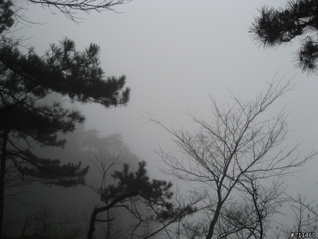 年行萬里 ~ D15 不識廬山真面目 只緣身在此山中 九江-廬山-牯嶺鎮-西線景區