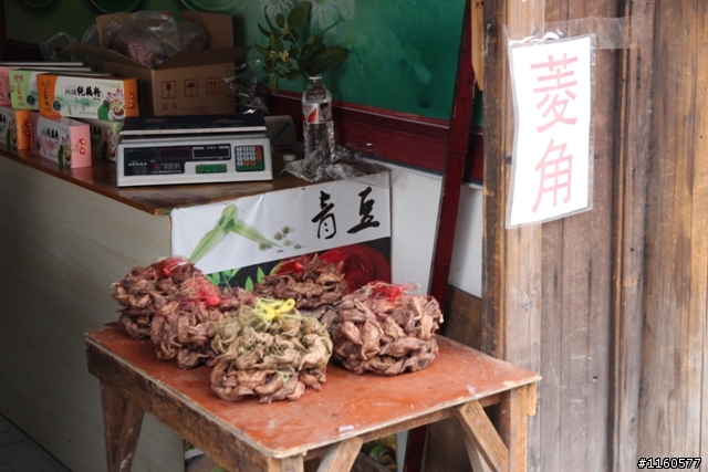 威龍中國之旅-杭州、上海、蘇州(第二日)鹽官古鎮、海寧、上海