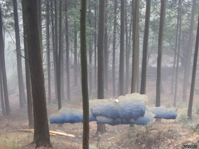 年行萬里 ~ D15 不識廬山真面目 只緣身在此山中 九江-廬山-牯嶺鎮-西線景區