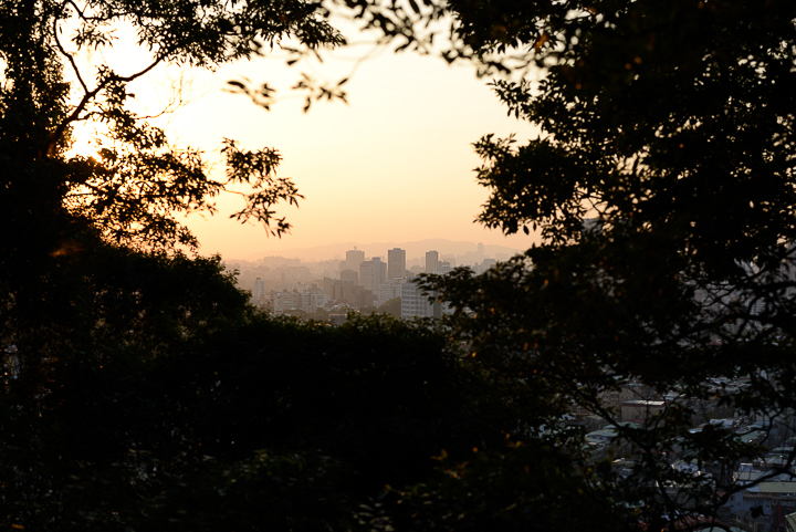 接近理論的完美 Zeiss Otus Distagon 1.4/55