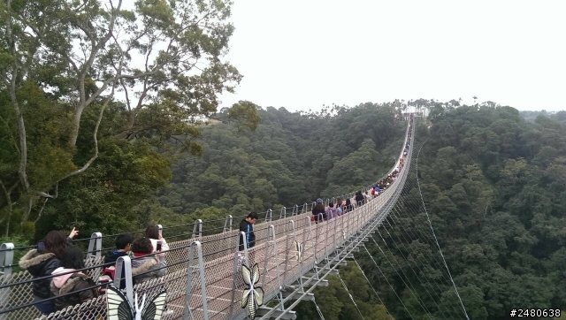 溪頭妖怪村、南投天空之橋、萬巒豬腳、佛光山佛陀紀念館+24小時KUGA試駕體驗