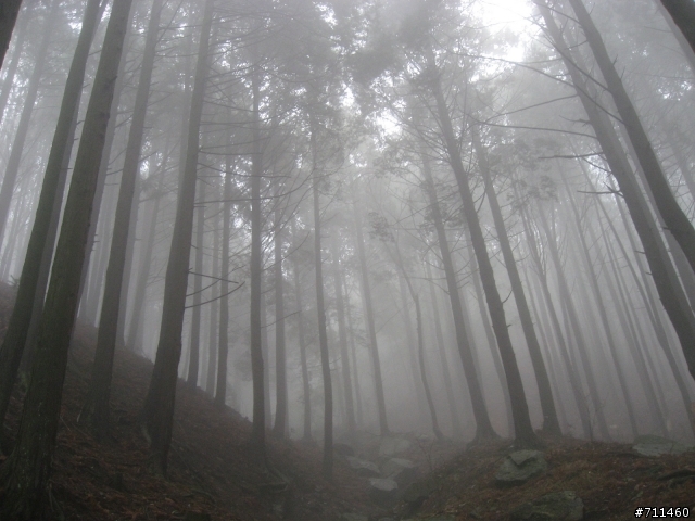年行萬里 ~ D15 不識廬山真面目 只緣身在此山中 九江-廬山-牯嶺鎮-西線景區