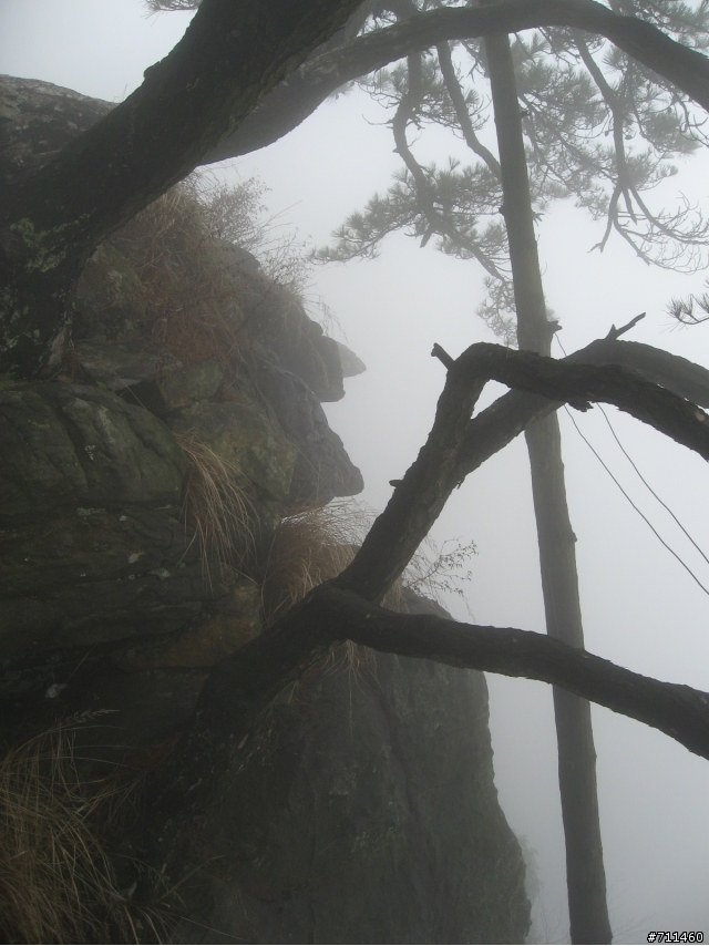年行萬里 ~ D15 不識廬山真面目 只緣身在此山中 九江-廬山-牯嶺鎮-西線景區