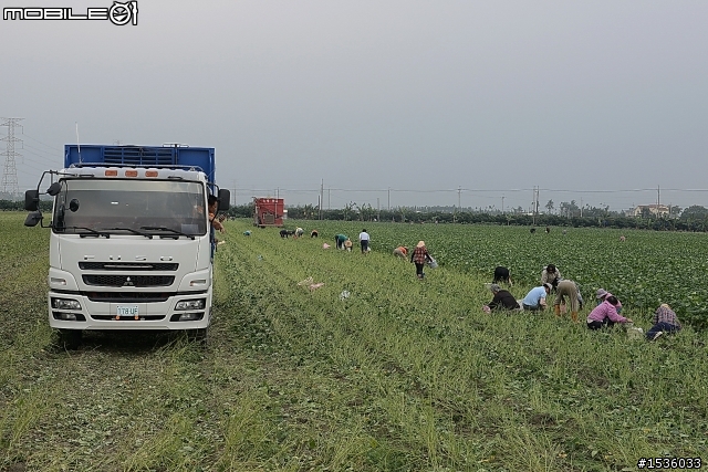 農村快樂拾毛豆與簡單毛豆料理