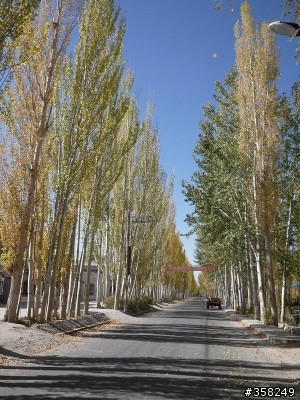 八千里路雲和月之絲路東行