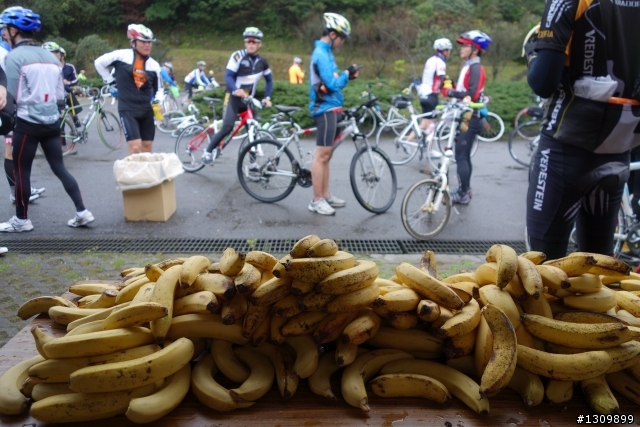 2013年Neverstop 永不放棄封關賽,挑戰陽金P字山道,