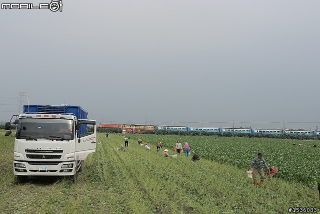 農村快樂拾毛豆與簡單毛豆料理