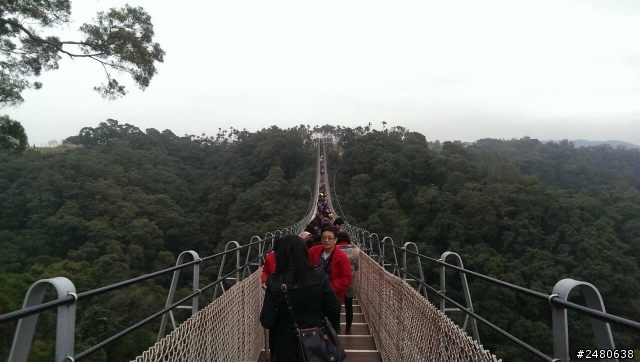 溪頭妖怪村、南投天空之橋、萬巒豬腳、佛光山佛陀紀念館+24小時KUGA試駕體驗