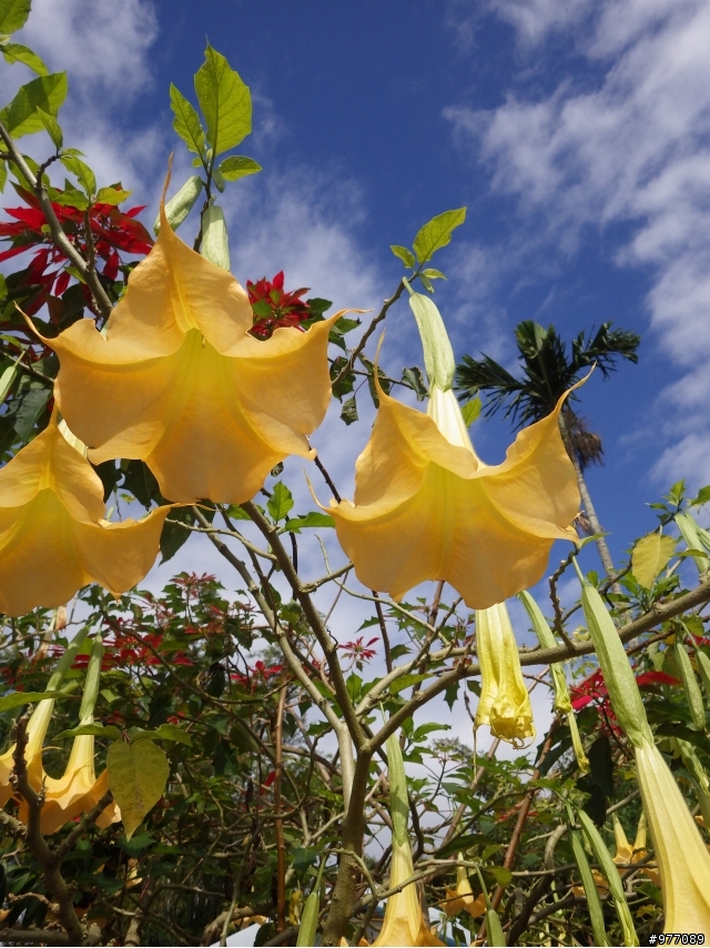 花東漫騎3天(197+東40+台11+台30+193 )
