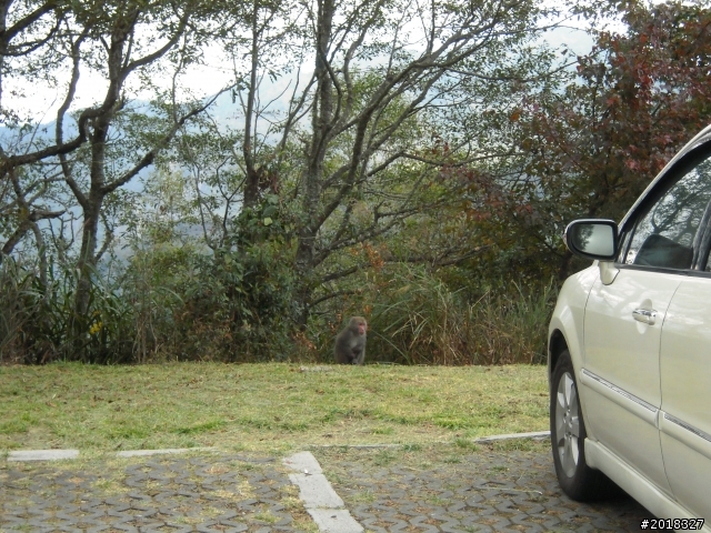 我與2013 Ford Kuga的 24小時邂逅 – 新中橫公路之旅!