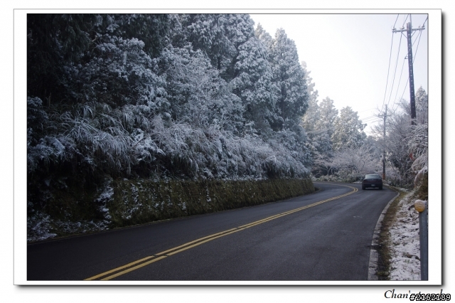 金旺與我的太平山雪景之旅