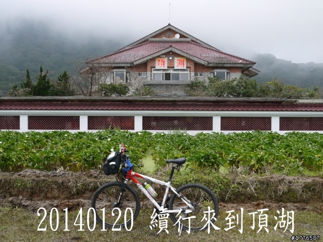 20140120 陽明山花季賞櫻竹子湖賞芋之旅
