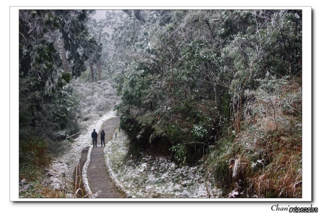 金旺與我的太平山雪景之旅