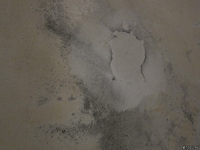 壁癌處理