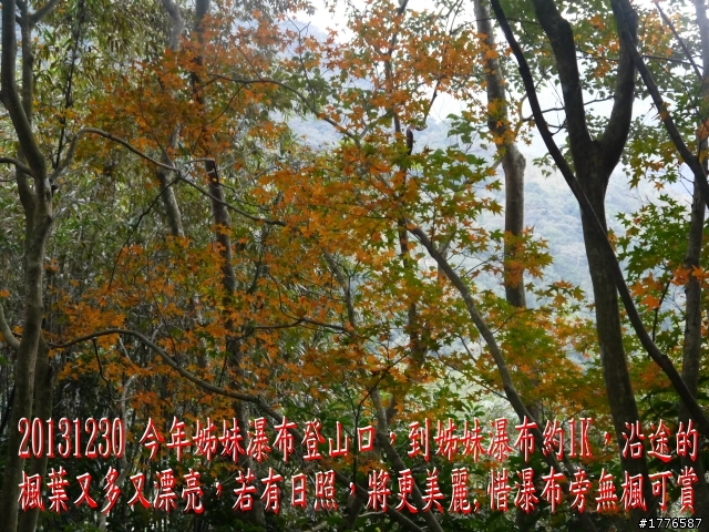 20131230 雲森瀑布賞楓賞瀑之旅