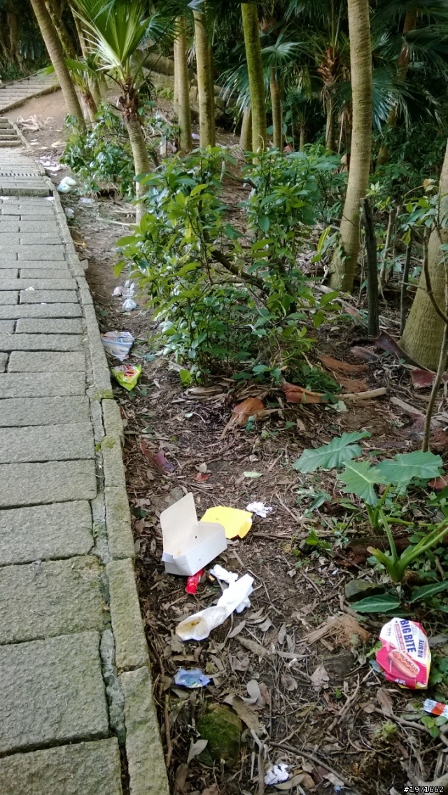 我想 我要發的主題應該和攝影的觀念有相關吧 給去山上拍煙火的看看你們留下的風景