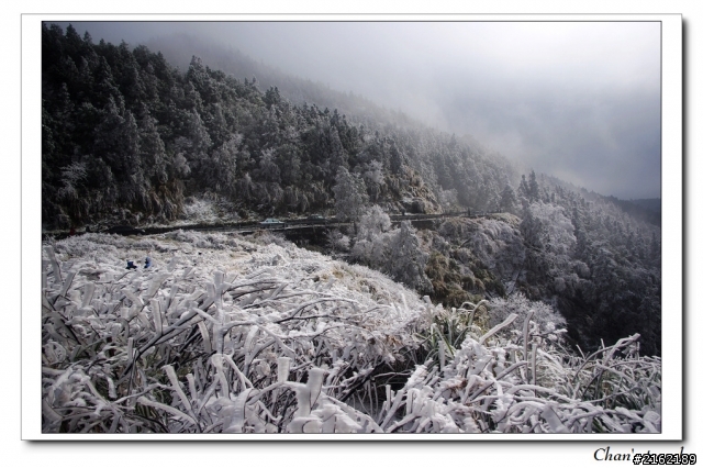 金旺與我的太平山雪景之旅