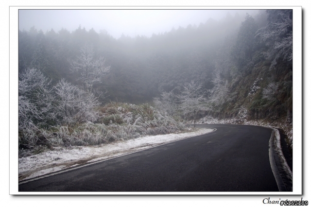 金旺與我的太平山雪景之旅