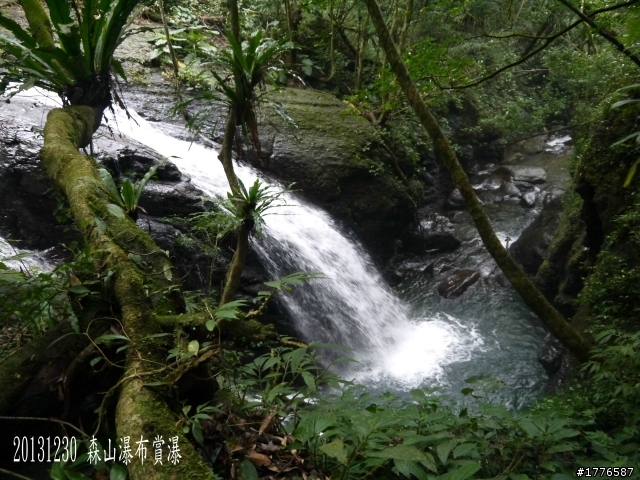 20131230 雲森瀑布賞楓賞瀑之旅