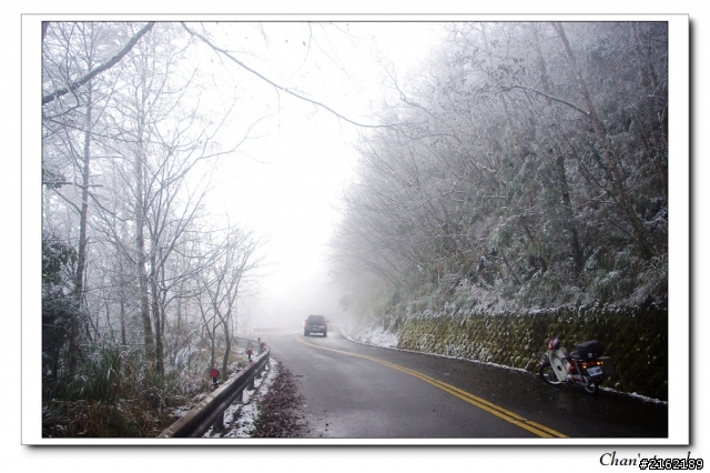 金旺與我的太平山雪景之旅