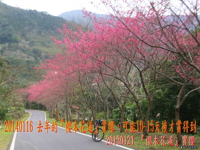 20140116 烏來福山賞櫻賞瀑之旅