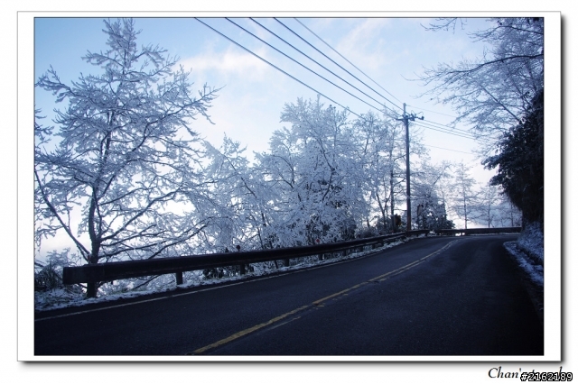 金旺與我的太平山雪景之旅