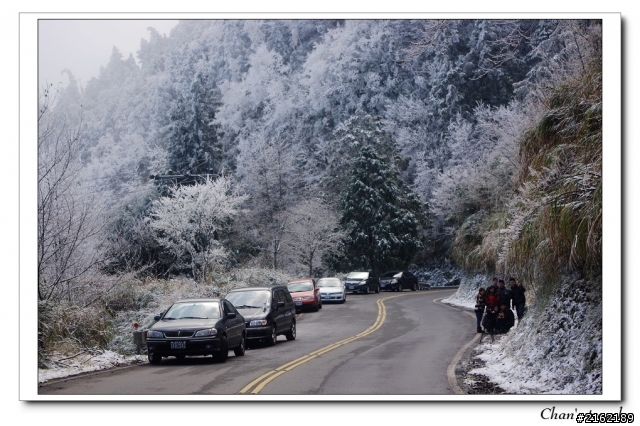 金旺與我的太平山雪景之旅