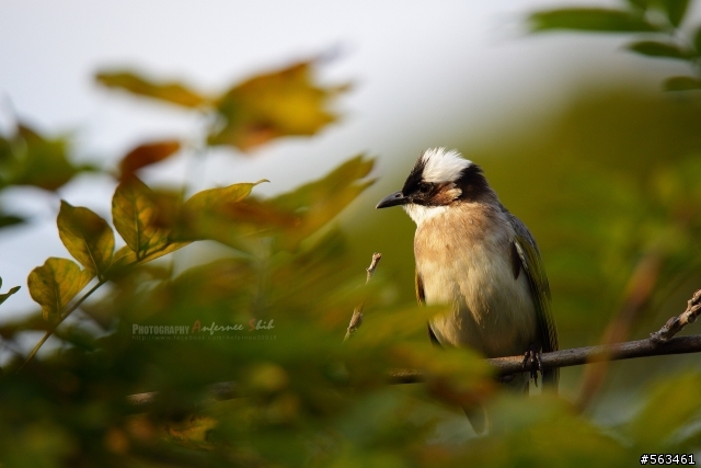 Tamron SP 150-600mm簡易開箱加實拍。
