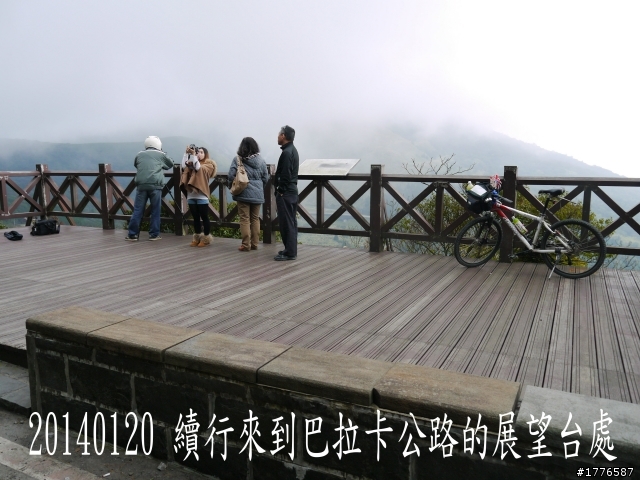 20140120 陽明山花季賞櫻竹子湖賞芋之旅