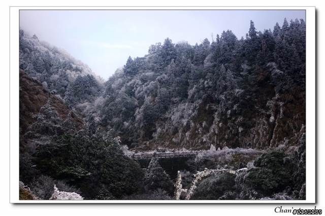 金旺與我的太平山雪景之旅