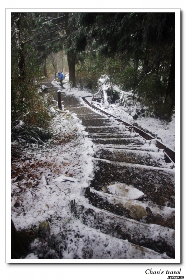 金旺與我的太平山雪景之旅