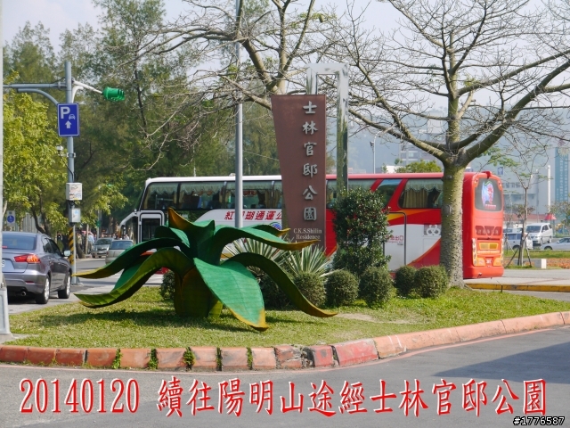 20140120 陽明山花季賞櫻竹子湖賞芋之旅