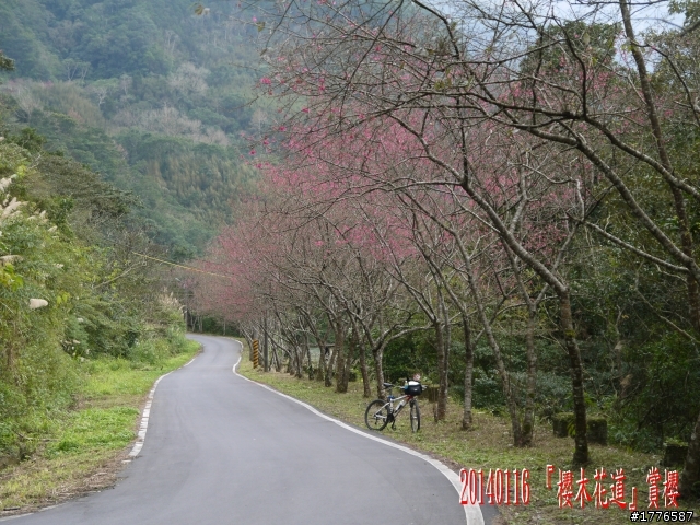 20140116 烏來福山賞櫻賞瀑之旅
