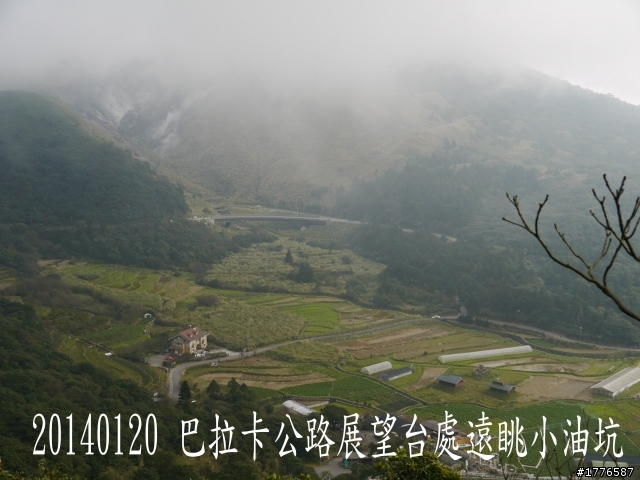 20140120 陽明山花季賞櫻竹子湖賞芋之旅