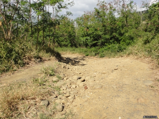 雙胞胎拔拔的KUGA墾丁上山下海體驗旅(圖爆多)