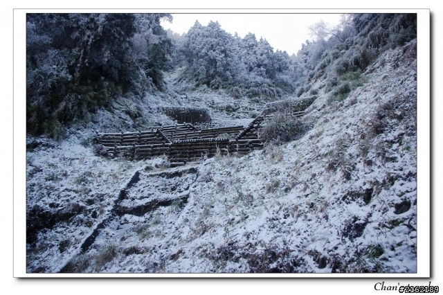 金旺與我的太平山雪景之旅