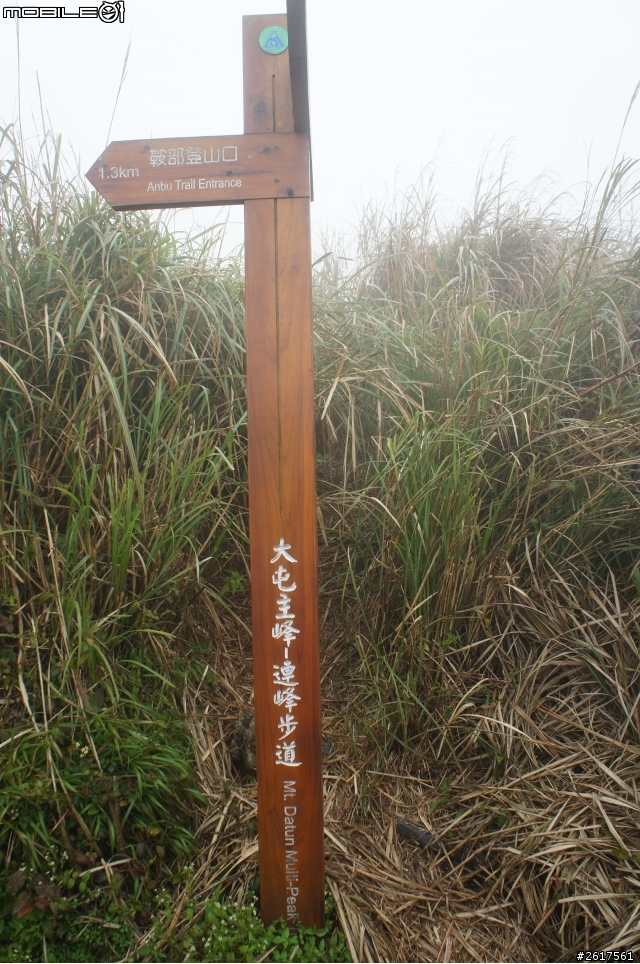 試駕KUGA至陽明山心得