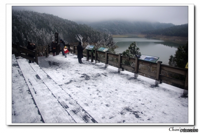 金旺與我的太平山雪景之旅