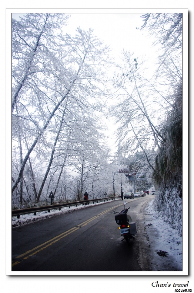 金旺與我的太平山雪景之旅