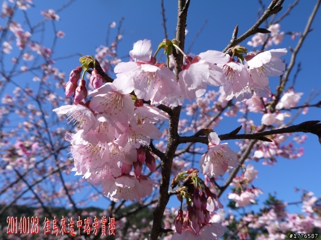 20140123 桶后之旅