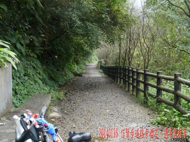 20140116 烏來福山賞櫻賞瀑之旅