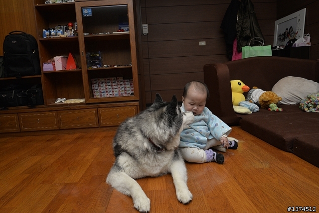 寶貝女兒與三隻毛小孩的相處!小孩絕不是你棄養的理由!