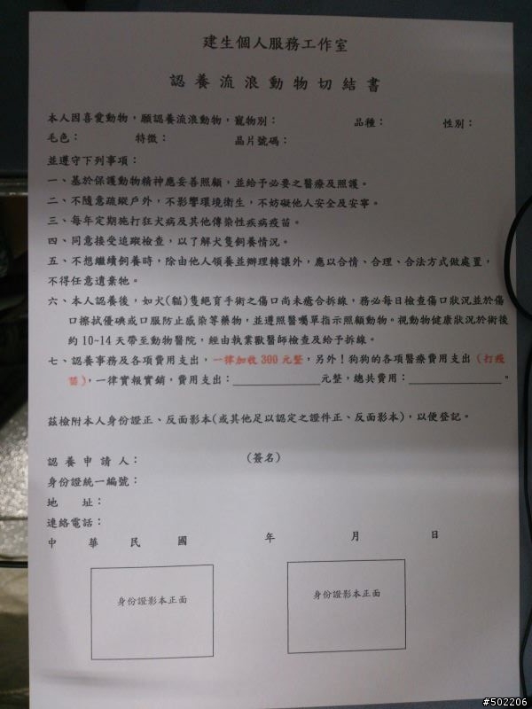 急尋 失主 及 好心領養人 -紅貴賓 公 成犬(已被領養了,請勿再來電)