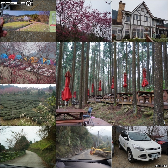 2014 KUGA PAPAGO(24h 免費換我開)