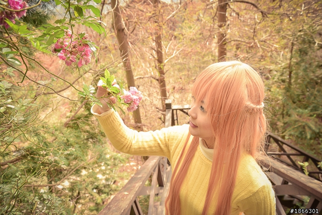 motorcycle x cosplay x Travel - 重機x角色扮演x旅行