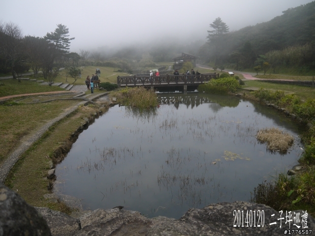 20140120 陽明山花季賞櫻竹子湖賞芋之旅