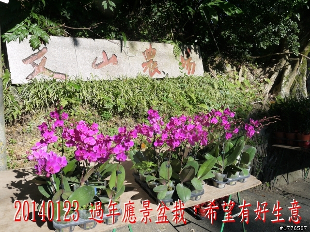 20140123 桶后之旅