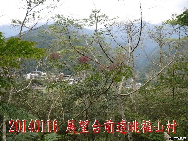 20140116 烏來福山賞櫻賞瀑之旅